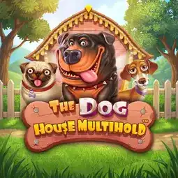 The Dog House Multihold game at Spinbit Casino for Australian players The Dog House Multihold game at Spinbit Casino for Australian players
